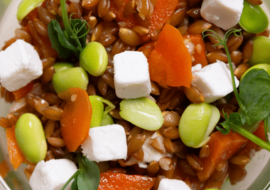 savoure traiteur lyon 9